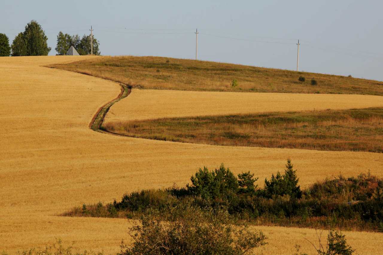 Татарстанда җитештерелгән авыл хуҗалыгы продукциясе күләме 400 млрд сумнан арткан