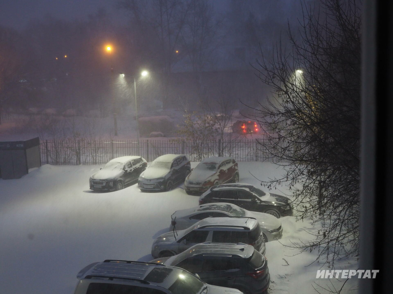 Ишегалдына нинди машиналарны куярга ярамый?