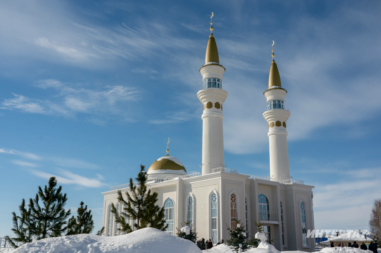 Уразаның файдасы