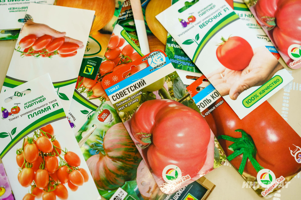 Орлыкларны ничек тикшерергә һәм искеләрен ничек «терелтергә»?