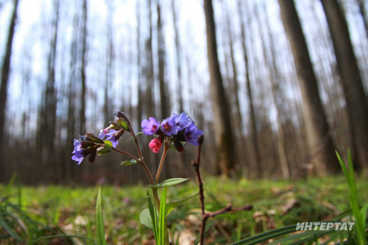 Татарстанда климатик яз 20 марттан соң булачак