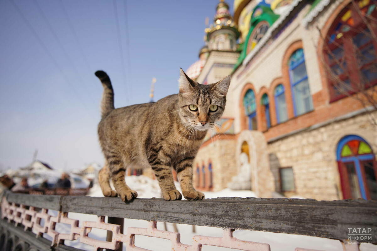 Казанда 2020 һәм 2025 еллардагы температура рекорды яңартылды