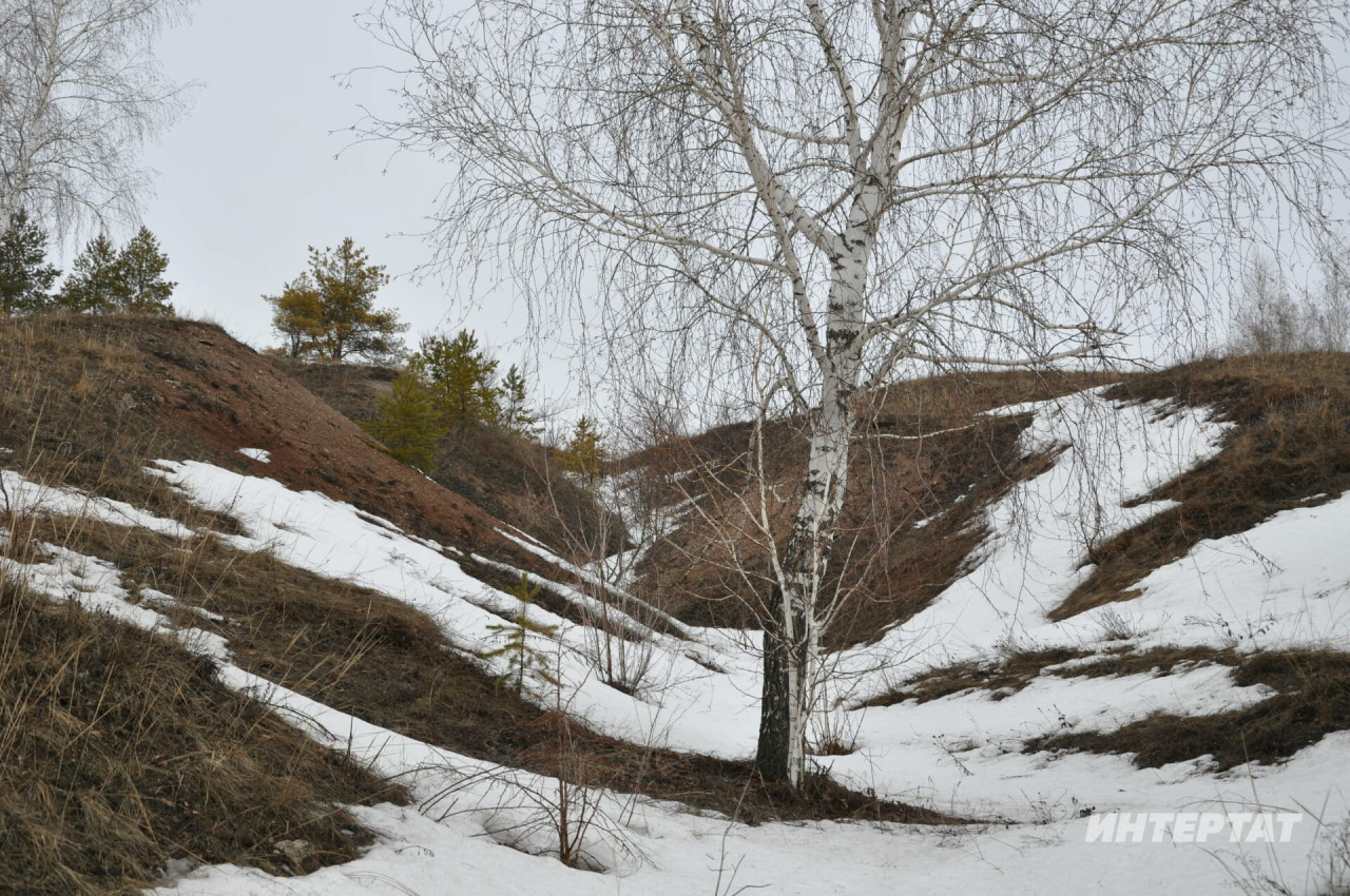 Татарстанда аномаль җылы һава торышы саклана, температура аермасы 22 градуска кадәр җитә