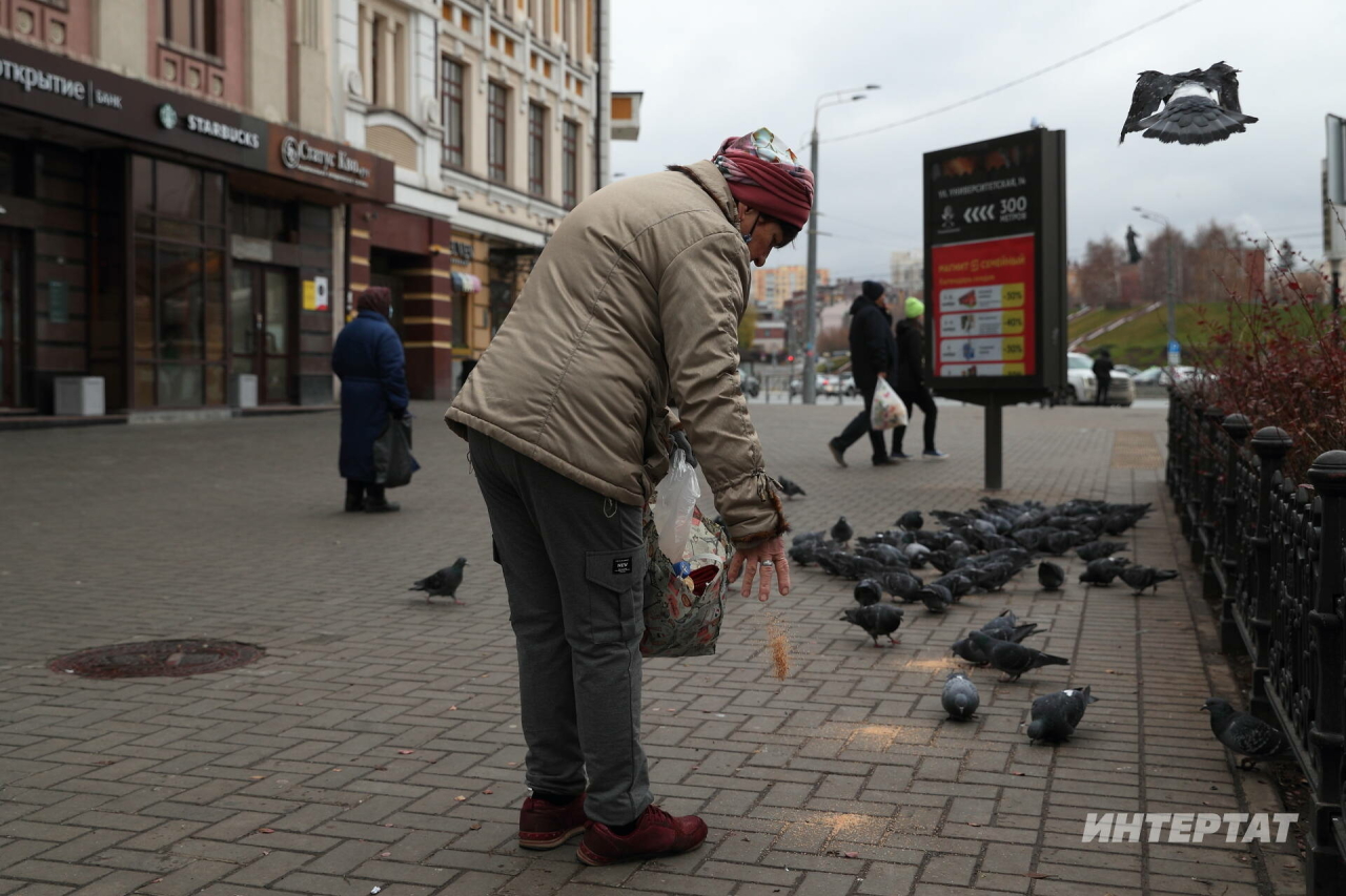 Өй янында күгәрченнәр ашаткан өчен штраф салалар