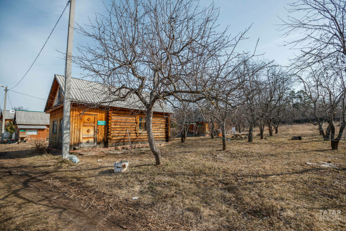 Бакчада агачларны кискән өчен штраф салулары ихтимал