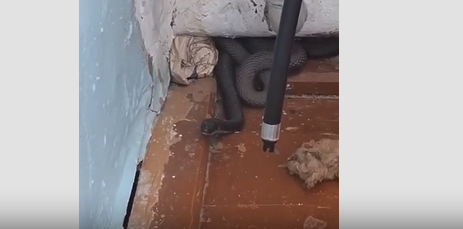 Татарстанда бер авылда фельдшерлык пунктына караелан кергән – видео 