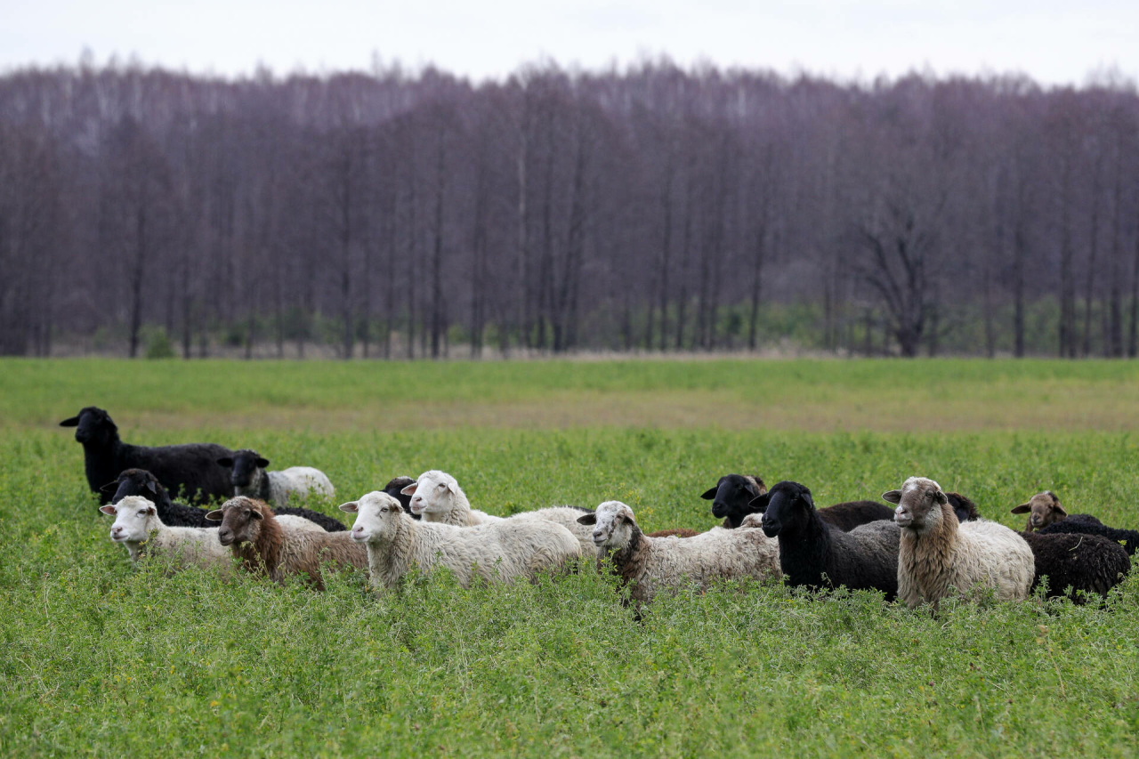 «Йонның биржа сатуларына кертелүе аның статусын күтәрде»: Йон кайчан керем китерер?