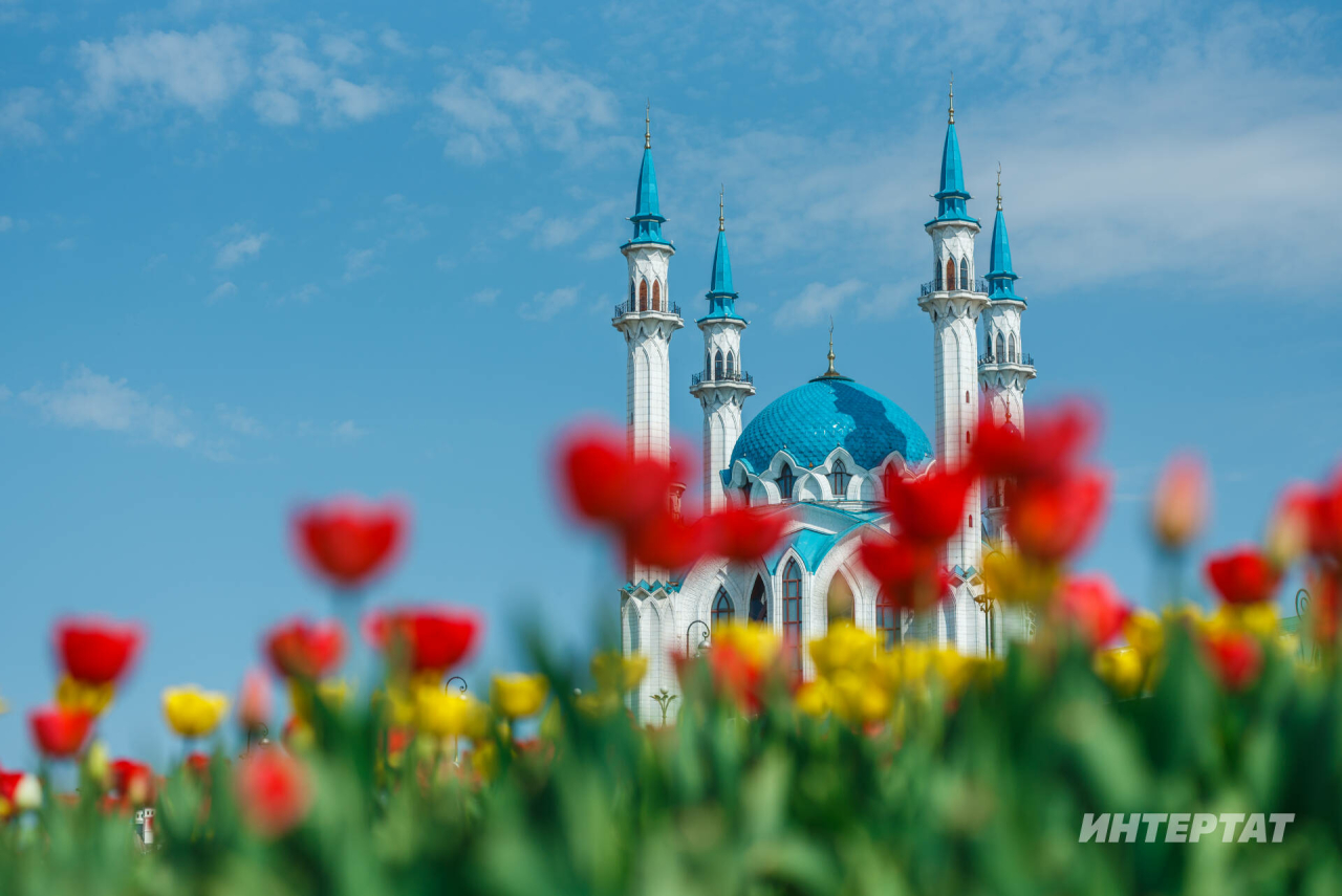 Майда барлыгы 12 ял көне була