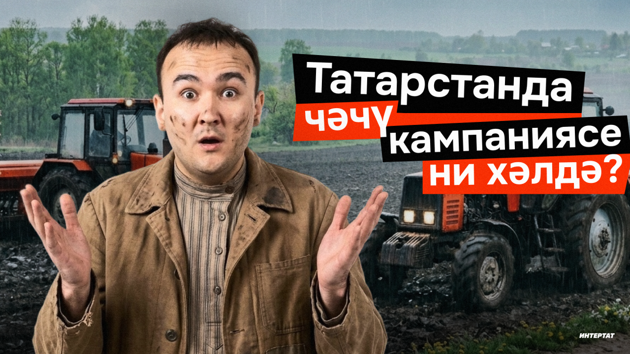 «Коры җәй генә күрмәгәнне күрсәтмәсен!» - Татарстанда чәчү тәмам