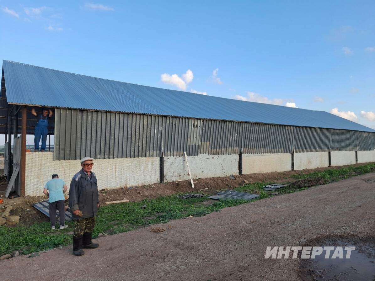 Яңа Кәшер фермерлары ындыр табагы төзегән: 13 яшьлек онык та, 87 яшьлек бабай да эштә